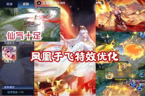 凤凰于飞爆料视频,揭秘视频背后的精彩故事